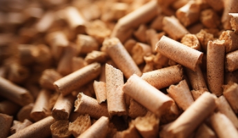 ׯ����Ϸ��(�й���)�ٷ���վ